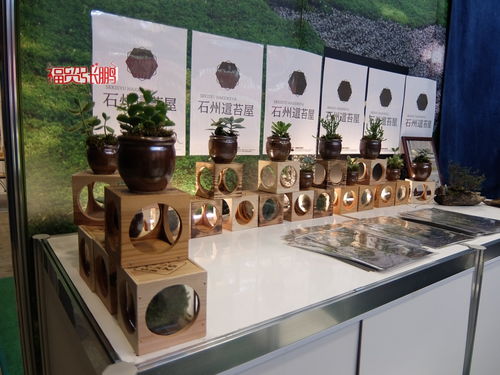 水與綠意交響 簡析Gardex 2021日本國際園藝散水用品展覽會與日用家電零售的共生邏輯